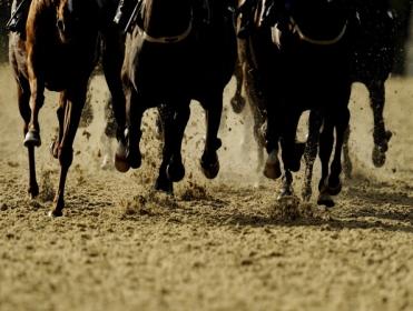 Thursday's Placepot comes from Chelmsford City